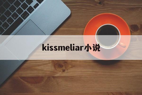 kissmeliar小说(kiss me liar 小说在线阅读)